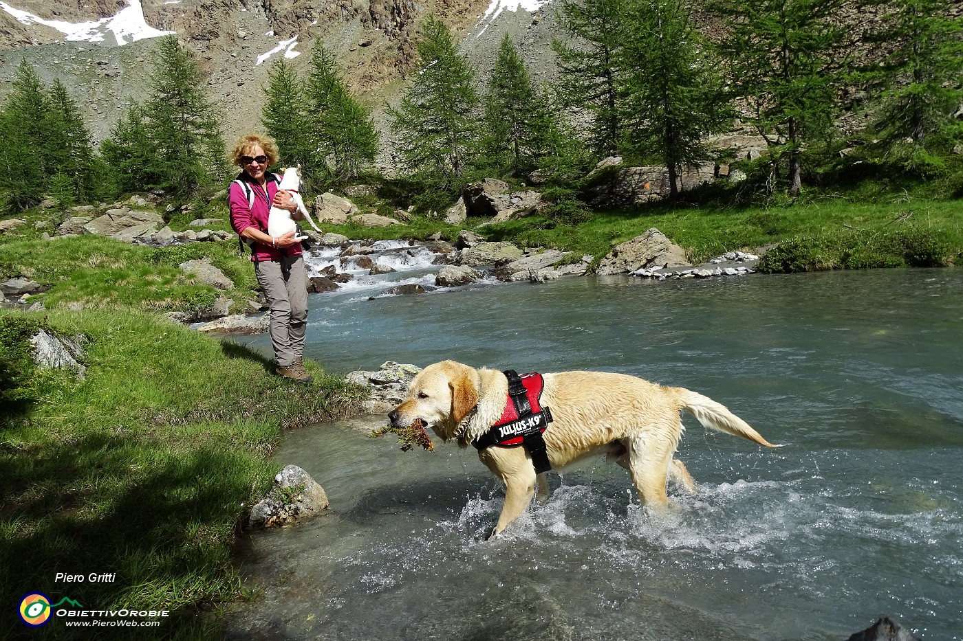 90 Recupera in acqua quanto si getta.JPG